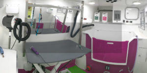 Mobile Dog Grooming Services in Surrey and Berkshire
