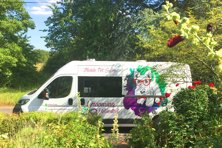 Mobile Dog Grooming Services in Surrey and Berkshire